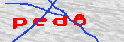 Obrazek CAPTCHA